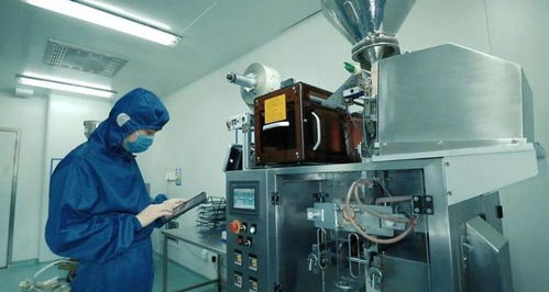 周宇翔 民營企業(yè)高質量發(fā)展拼的是軟件開發(fā)